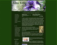 Liza Kliko's digital artworks