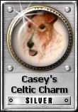 Casey’s Celtic Charm Silver Award (link opens in new window)