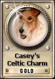 Casey's Celtic Charm Gold Award (link opens in new window)
