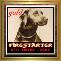 Firestarter Gold Award (link opens in new window)