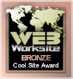 Bronze Award (link opens in new window)